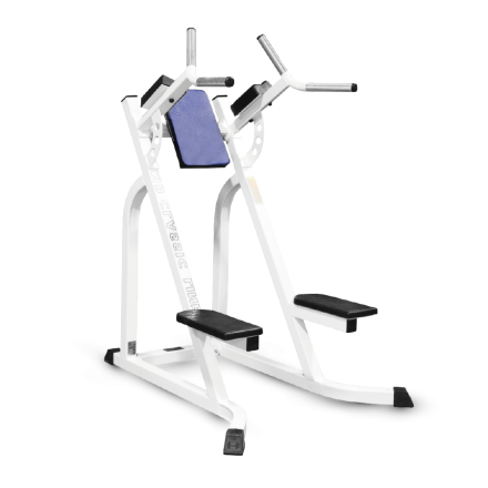 Брусья-пресс