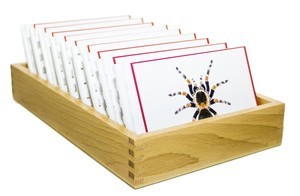 Животные-2 Карточки: расширение словаря