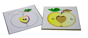 Строение яблока (пазлы)  и его контур (ламинированный)