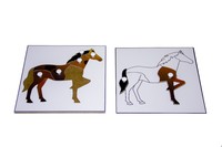 Строение лошади (пазлы)  и ее контур (ламинированный)