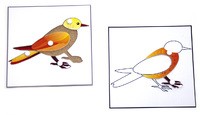 Строение птицы (пазлы)  и ее контур (ламинированный)