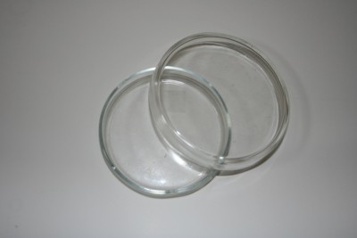 Чашка Петри