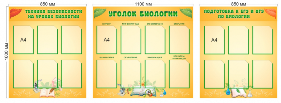 Комплект из 3 стендов для кабинета биологии, 2800*1000 мм
