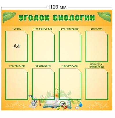 Стенд «Уголок биологии», 1100*1000 мм
