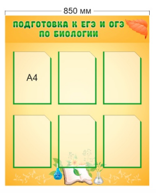 Стенд «Подготовка к ЕГЭ и ОГЭ по биологии», 850*1000 мм