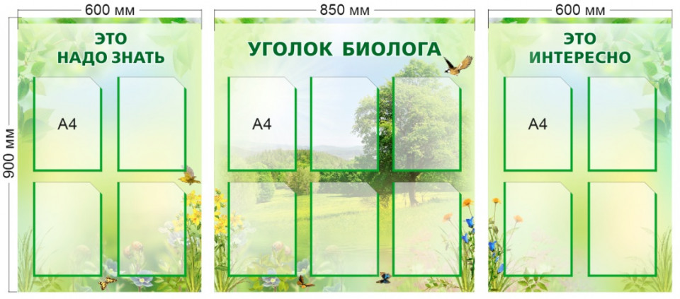 Комплект из 3 стендов для кабинета биологии, 2050*900 мм