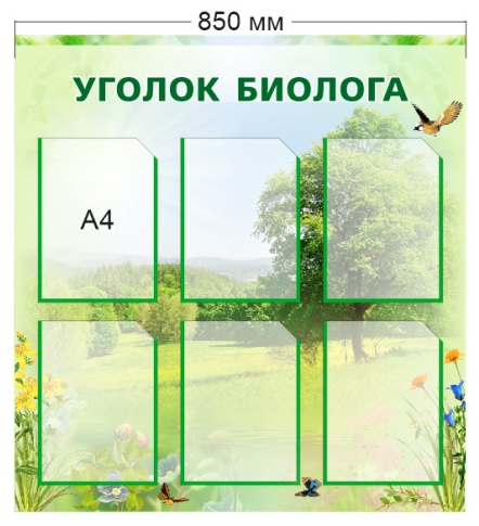 Стенд «Уголок биолога», 850*900 мм