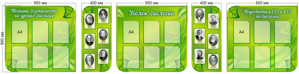 Комплект из 5 стендов для кабинета биологии, 3650*900 мм