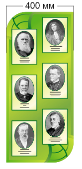 Стенд «Портреты биологов», 400*900 мм