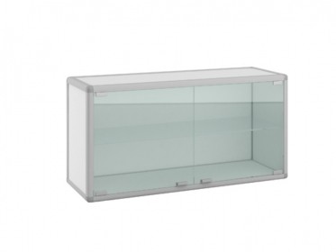 Шкаф лабораторный навесной АСК ШН.02.01