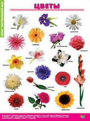 Таблицы демонстрационные 