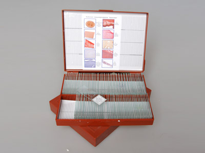 Комплект микропрепаратов 