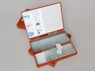 Комплект микропрепаратов 