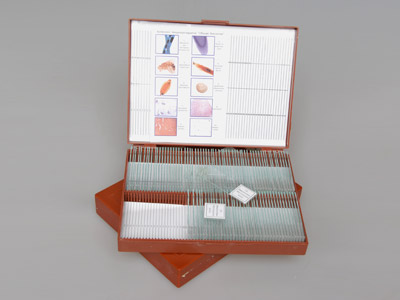 Комплект микропрепаратов 