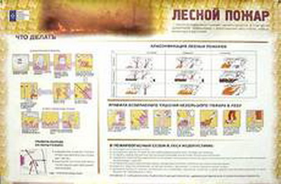 Плакаты 