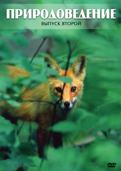 Компакт-диск 