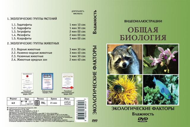 Компакт-диск 