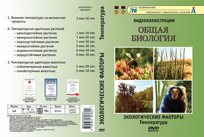 Компакт-диск 