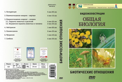 Компакт-диск 