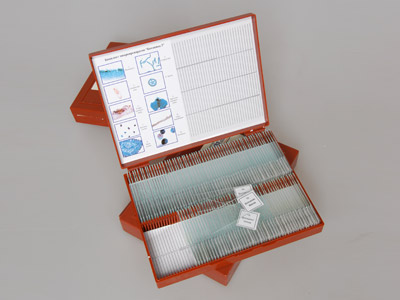 Комплект микропрепаратов 