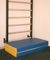 Мат поролоновый складной 1х1х0,1 м, кожзаменитель (эконом), шт.