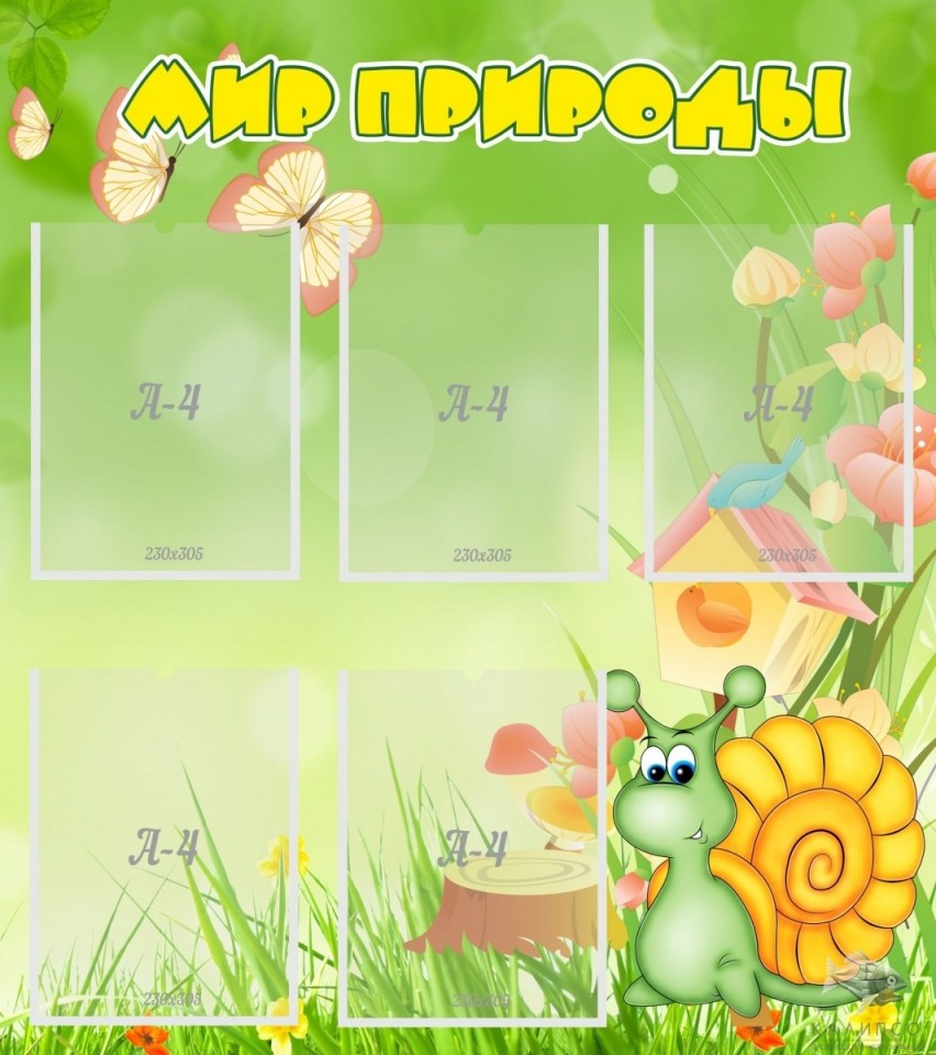 Мир природы