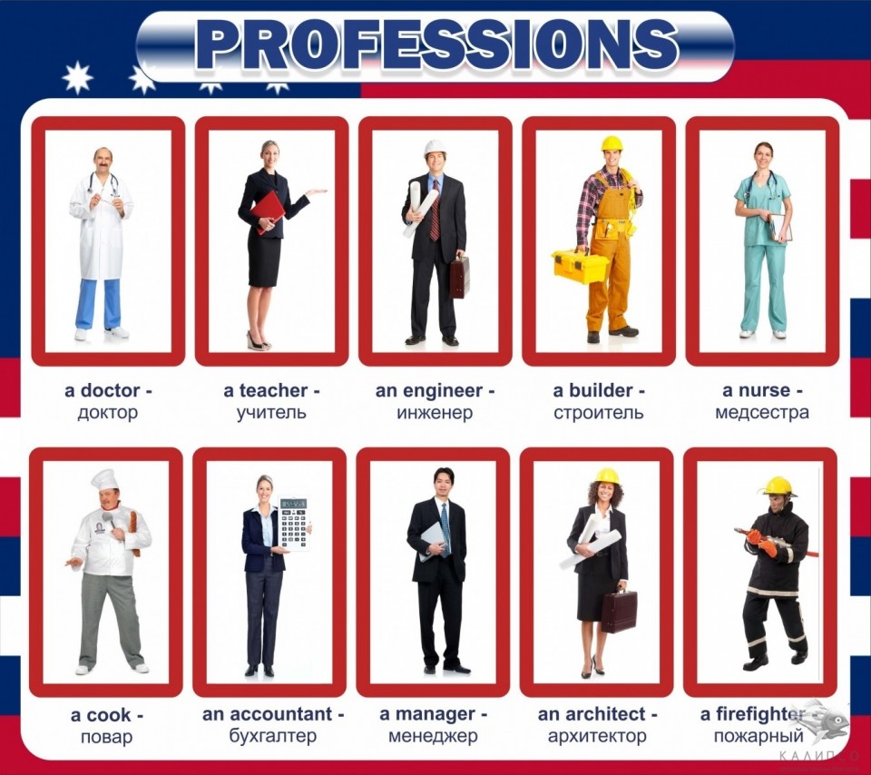 Профессии
