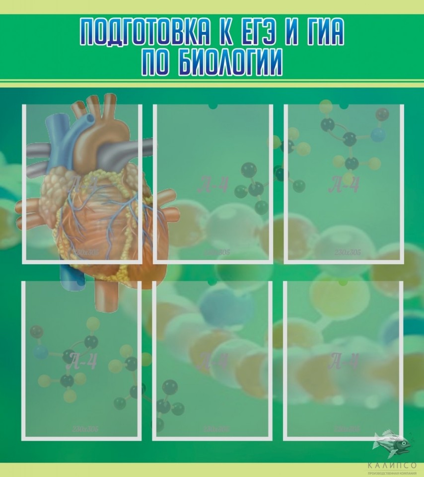 Подготовка к ЕГЭ и ОГЭ по биологии