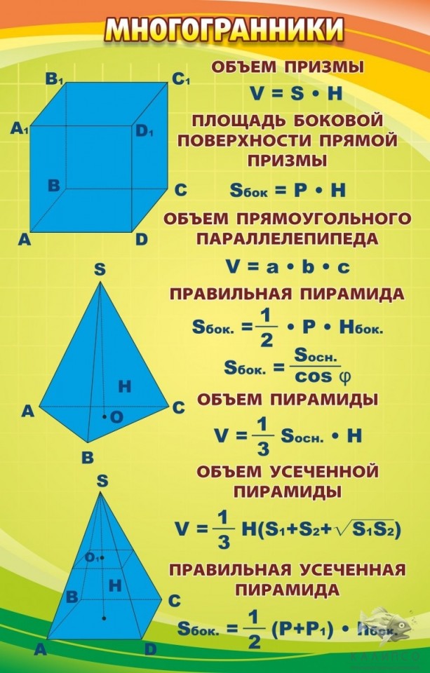 Многоранники