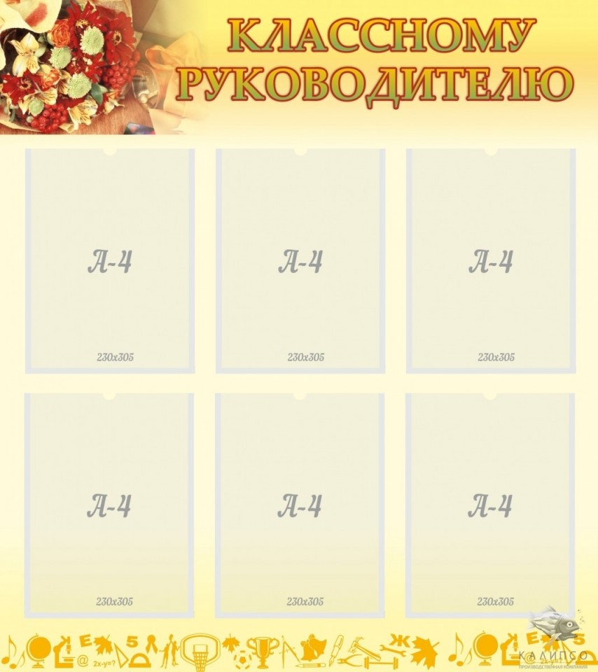 Классному руководителю