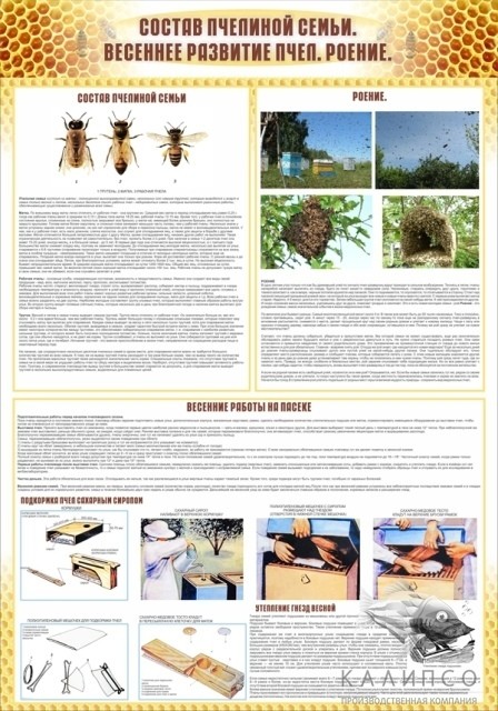 Состав пчелиной семьи. Весеннее развитие. Роение