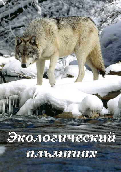 Компакт-диск 