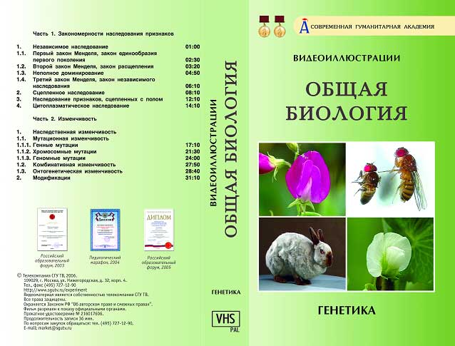 Внутреннее строение моллюска. Систематика животных таблица. Биология тип 16. Вирус зика рисунок. Систематика земноводных 7 класс биология.