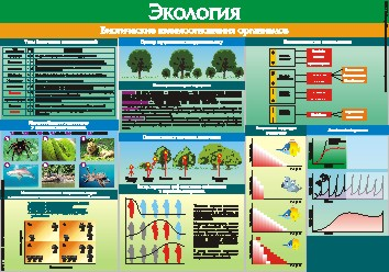 Биотические взаимоотношения организмов 70*100