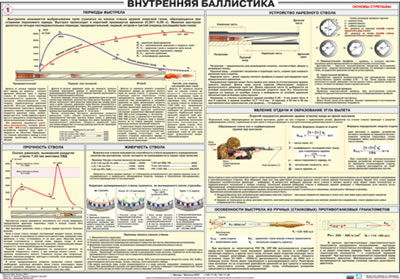 Внутренняя баллистика (100х70)