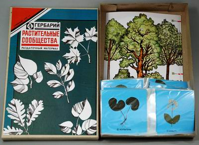 Гербарий 