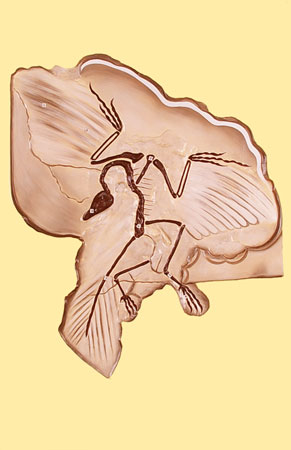 Археоптерикс (1 планшет, 42х66 см)