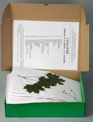 Гербарий Дикорастущие растения