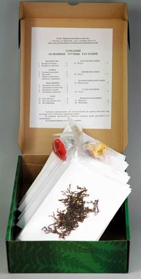 Гербарий Основные группы растений