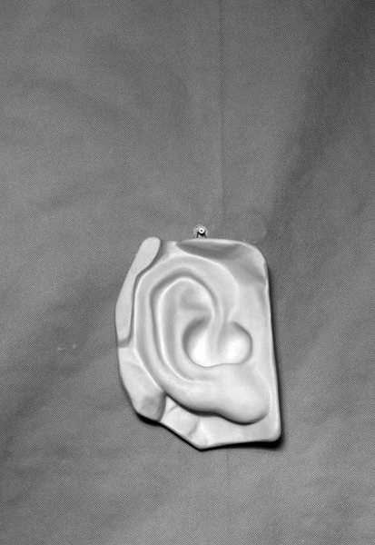 Гипс Ухо правое Давида