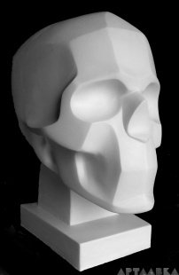 Гипс Обрубовка черепа по Баммес