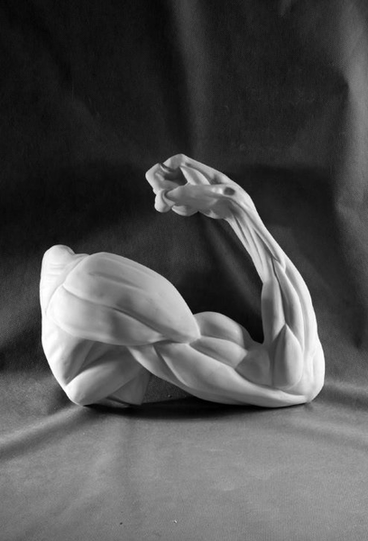 Гипс Рука согнутая в локте полиуретан