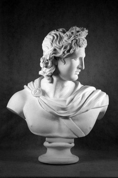 Гипс Бюст Аполлона Бельведерского