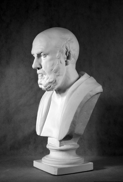 Гипс Бюст Гиппократа
