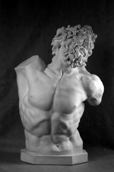 Гипс Бюст Лаокоона