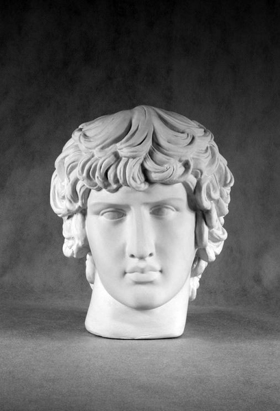 Гипс Голова Антиной