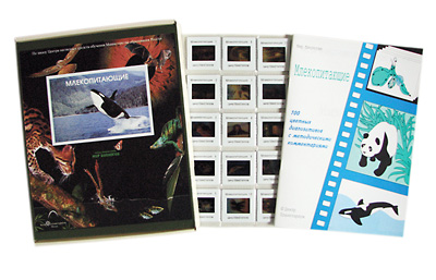 Слайд-альбом по биологии 