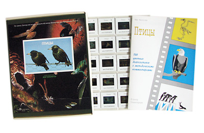 Слайд-альбом по биологии 