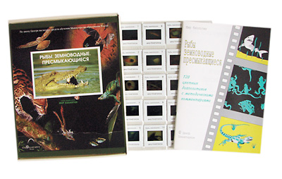 Слайд-альбом по биологии 