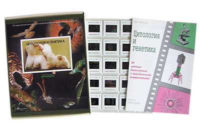 Слайд-альбом по биологии 